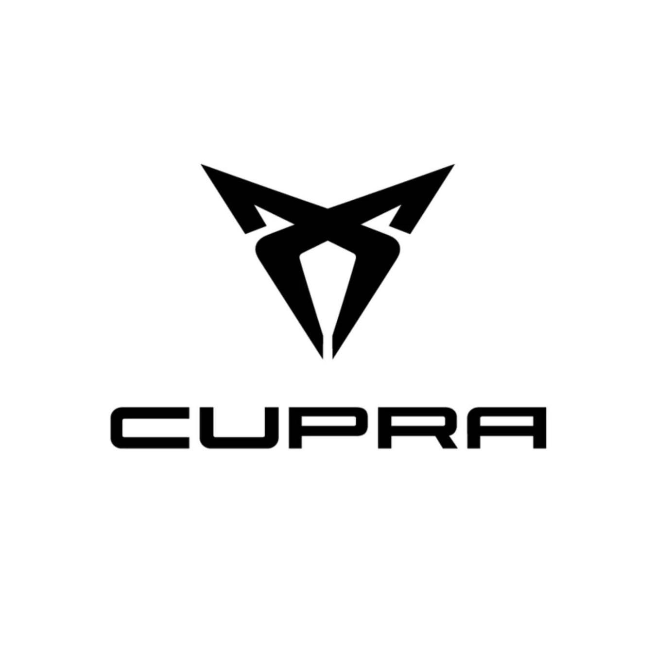 Cupra Boot Liners