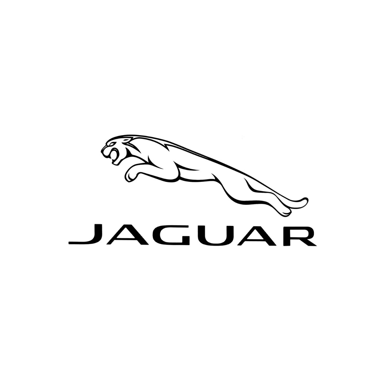 Jaguar Boot Liners