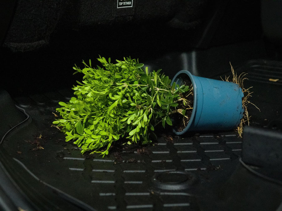 NOMAD Boot Liner  VW ID.3